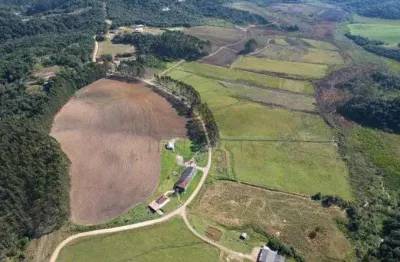 Fazenda à venda, 6.848.600.00 m2, colônia murici, sao jose dos pinhais - pr
