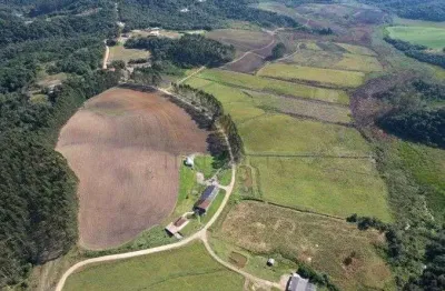 Fazenda à venda, 6.848.600.00 m2, Colônia Murici, SAO JOSE DOS PINHAIS - PR