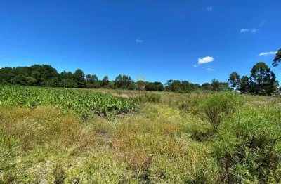 Chácara à venda, 57.862 m2, tabatinga - tijucas do sul pr