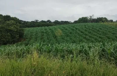 Chácara à venda, 25.110 m2, cachoeira - são josé dos pinhais pr