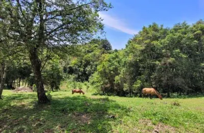 Chácara à venda, 29519.00 m , tabatinga, tijucas do sul - pr