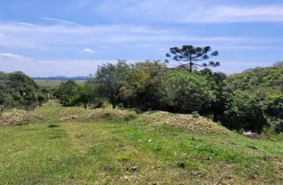 Chácara / sítio com 1 quarto à venda na Estrada Rural Tabatinga, 999, Tabatinga, Tijucas do Sul