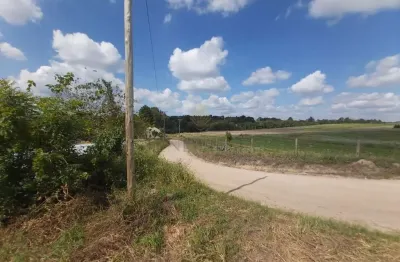 Chácara / sítio com 4 quartos à venda na Rua Antônio Quintino de Almeida, Contenda, São José dos Pinhais