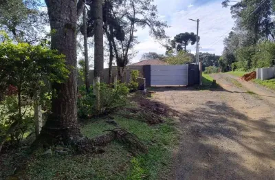 Chácara à venda, 2.750 m2 por r  749.000,00 - lagoinha - tijucas do sul pr