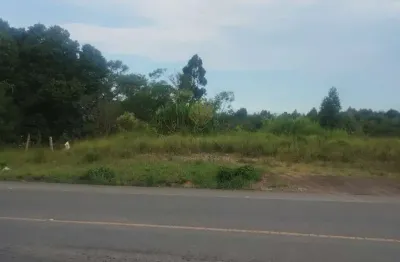 Terreno à venda na Rua Benjamin Negoseki, 16780, Cachoeira, São José dos Pinhais