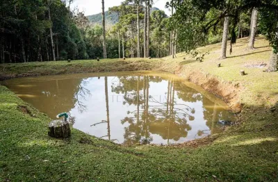 Chácara à venda, 72.600 m2, roça velha, são josé dos pinhais - pr