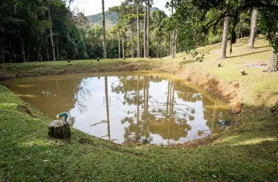 Chácara à venda, 72.600 m2, Roça Velha, SÃO JOSÉ DOS PINHAIS - PR