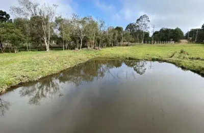 Chácara / sítio à venda na Rua Manoel Alves De Farias, 3699, Tabatinga, Tijucas do Sul