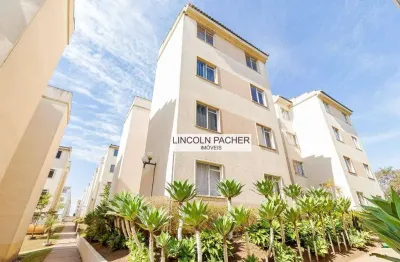 Apartamento com 2 quartos para alugar na Rua Alexandro Glenski, 757, Ganchinho, Curitiba