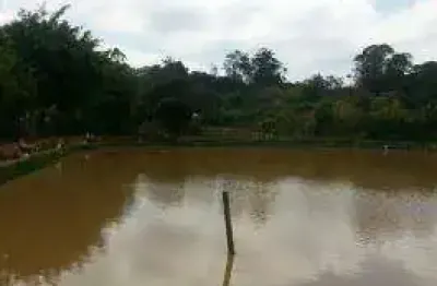 Chácara rural à venda, jardim bela vista, guarulhos - ch0006.