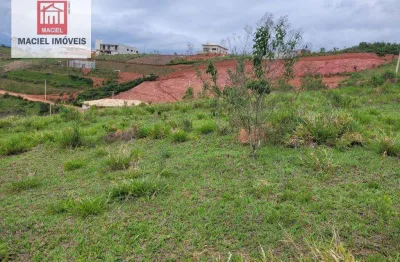 Terreno à venda, 1000 m² por r$ 170.000,00 - chácaras condomínio recanto pássaros ii - jacareí/sp