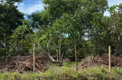 Lote no coqueiros de arembepe, 350m2, plano, escriturado e parcela.