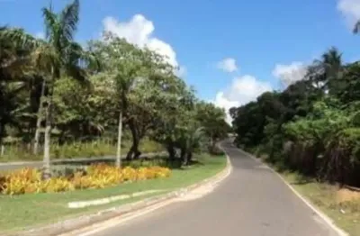 Telote plano  por r$ 60.000 - a poucos metros da lagoa aruá (lado oposto de praia do forte)acú da torre - mata de são joão/bahia