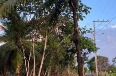 Lote em coqueiros de arembepe, 264m2, plano, escriturado! parcelado!