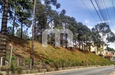 Terreno à venda na estrada de são bento, 1300, jardim amazonas, itaquaquecetuba, 8158 m2 por r$ 7.450.000