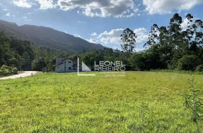 Terreno à venda no Centro, Rodeio 