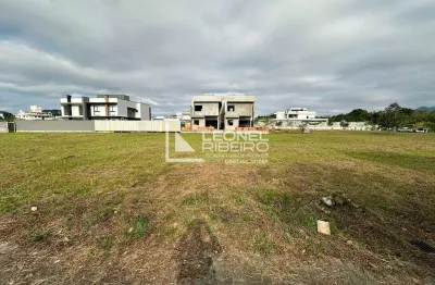 Terreno à venda, 404m² no bairro quintino em timbó/sc