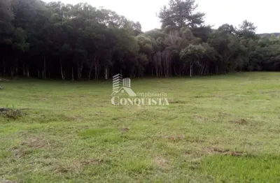 Chácara / sítio à venda na linha marmelero, 111, criúva, caxias do sul por r$ 380.000