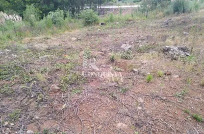 Terreno à venda na l, 4, centro, flores da cunha por r$ 250.000