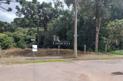 Terreno à venda na rua zenaide maria manteze, 7, são giácomo, caxias do sul por r$ 150.000