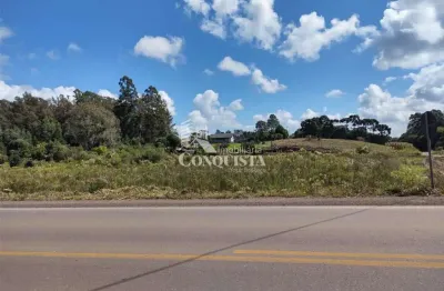 Terreno à venda na vicinal mato perso, forqueta, caxias do sul por r$ 2.500.000