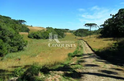 Terreno à venda na rua patrício pasquali, 2020, vila seca, caxias do sul por r$ 350.000