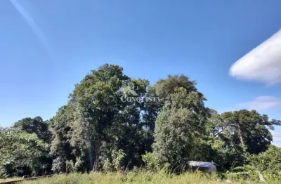 Terreno à venda na rua dionysio adami, 9999, nossa senhora das graças, caxias do sul por r$ 5.900.000