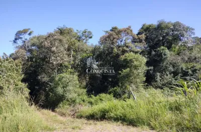 Terreno à venda na estrada do imigrante, 1010, nossa senhora das graças, caxias do sul por r$ 4.300.000