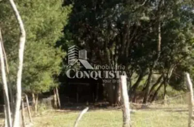 Chácara / sítio à venda na municipal agua azul, 5875, santa lúcia do piaí, caxias do sul por r$ 280.000