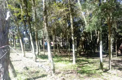 Chácara / sítio à venda na vila seca, 1010, vila seca, caxias do sul por r$ 230.000