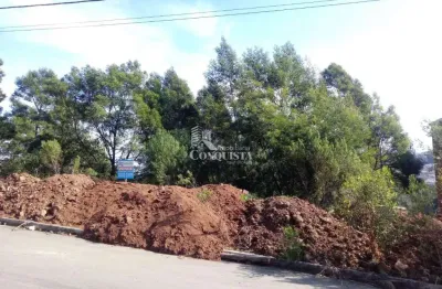 Terreno à venda na rua amélia pinguella bonatto, 5529, são luiz, caxias do sul por r$ 195.000