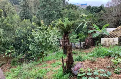 Terreno à venda na rua orestes zoppas, 8, charqueadas, caxias do sul por r$ 265.000