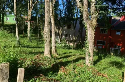 Terreno à venda na rua emília mazzochi gobbato, ana rech, caxias do sul por r$ 350.000