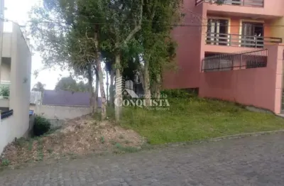 Terreno à venda na rua irmã jandyra maschio, 777, jardim eldorado, caxias do sul por r$ 220.000