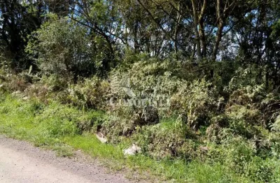 Terreno à venda na estrada municipal attílio citton, 5, santo antônio, caxias do sul por r$ 370.000