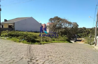 Terreno à venda na rua josé maria xavier da silva, 1, são caetano, caxias do sul por r$ 230.000