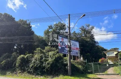 Terreno à venda na br 116 km, 13200, são cristóvão, caxias do sul por r$ 4.900.000