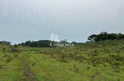 Terreno à venda na junto a criuva, criúva, caxias do sul por r$ 199.000