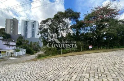 Terreno à venda na rua luiz pezzi, panazzolo, caxias do sul por r$ 380.000