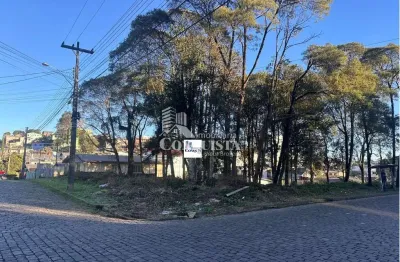 Terreno à venda na rua felice veronese, jardim eldorado, caxias do sul por r$ 750.000
