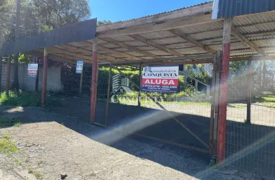 Terreno comercial para alugar na br 116 km, 13202, são cristóvão, caxias do sul por r$ 2.900
