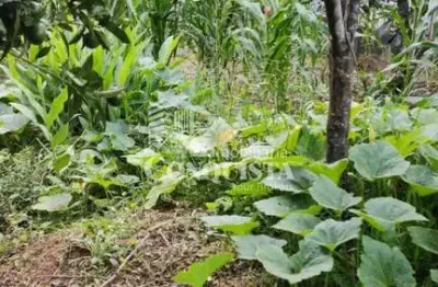 Terreno à venda na rua catharina piazza giulian, 11, jardim iracema, caxias do sul por r$ 185.000