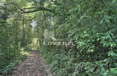 Chácara / sítio à venda na estr. mun. do vinho, 1, são pedro da terceira légua, caxias do sul por r$ 450.000