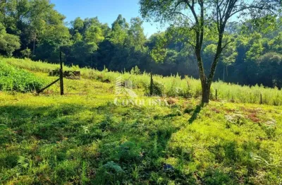 Chácara / sítio à venda na travessa santa rita, 02, são pedro da terceira légua, caxias do sul por r$ 540.000
