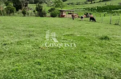 Chácara / sítio à venda na mulada são jorge, 01, criúva, caxias do sul por r$ 450.000