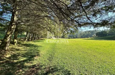 Chácara / sítio com 3 quartos à venda na rota do sol, 46, fazenda souza, caxias do sul por r$ 1.600.000