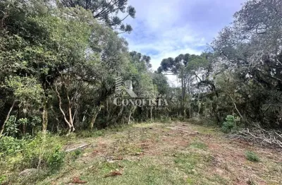 Chácara / sítio à venda na fazenda dos ilheus, 001, vila seca, caxias do sul por r$ 159.000