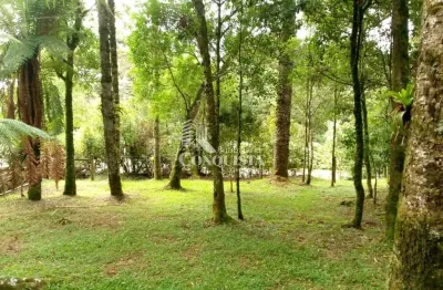 Terreno à venda na frente rs 020 e rua bracatinga, colinas, são francisco de paula por r$ 500.000