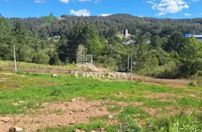 Terreno à venda na barbara, 546, parada cristal, caxias do sul por r$ 138.000