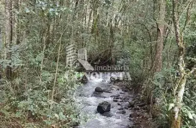 Chácara / sítio à venda na do cemiterio, 110, desvio rizzo, caxias do sul por r$ 1.700.000
